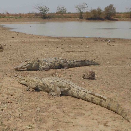 Dagara, Burkina Faso, photo P. Le Roux